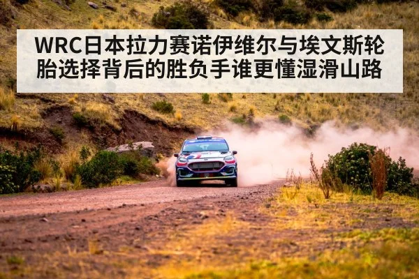 WRC日本拉力赛诺伊维尔与埃文斯轮胎选择背后的胜负手谁更懂湿滑山路